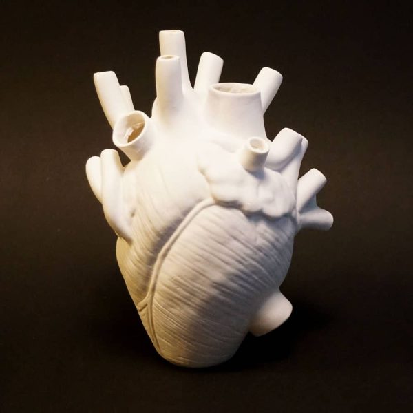 white anatomical heart vase