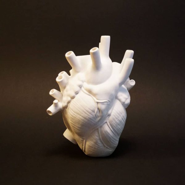 achterkant anatomisch hart vaas wit