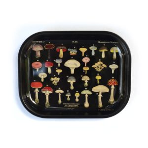 small metal tray vintage mushroom print