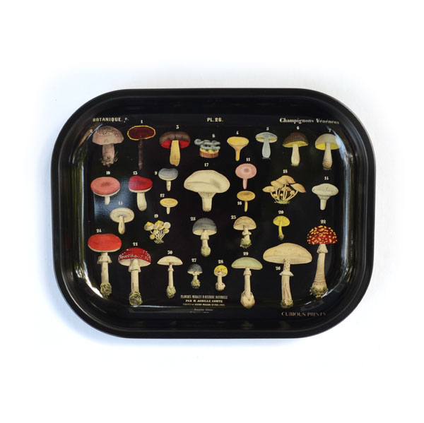 small metal tray vintage mushroom print
