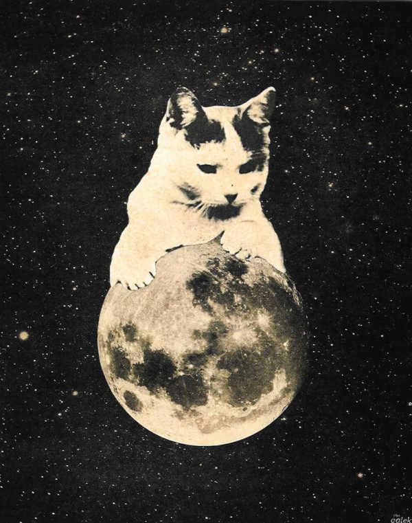 Space Cat vintage collage art print