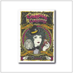 Fortune teller art print in a vintage carnival style depicting a fortune teller with tarot cards
