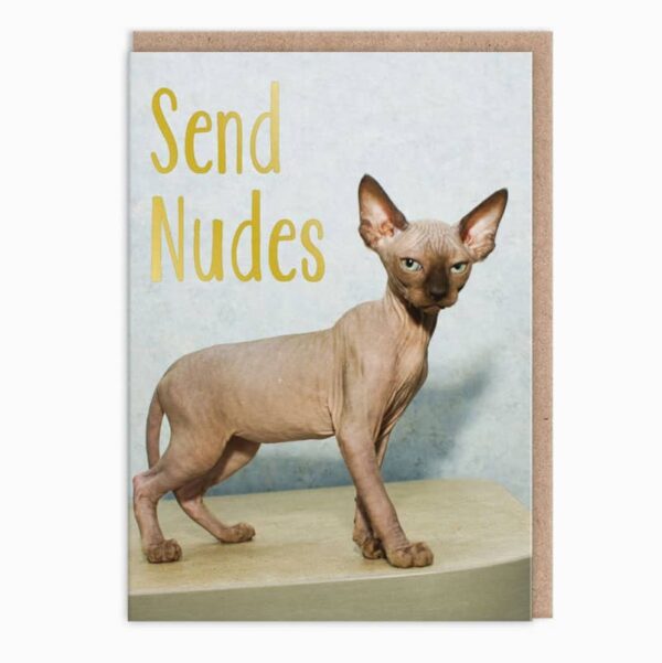 Send Nudes Naked Cat Greeting Card